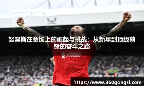 努涅斯在赛场上的崛起与挑战：从新星到顶级前锋的奋斗之路